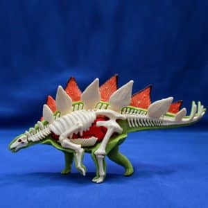 Puzzle 3D Estegosaurio Anatómico (38 Pzs)