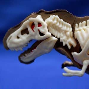 product t-rex 4