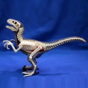 product velociraptor 6
