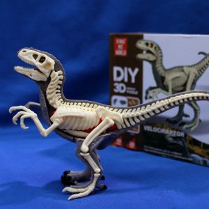 Puzzle 3D Velociraptor Anatómico (42 Pzs)