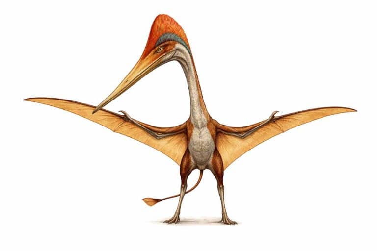 Quetzalcoatlus el reptil volador gigante